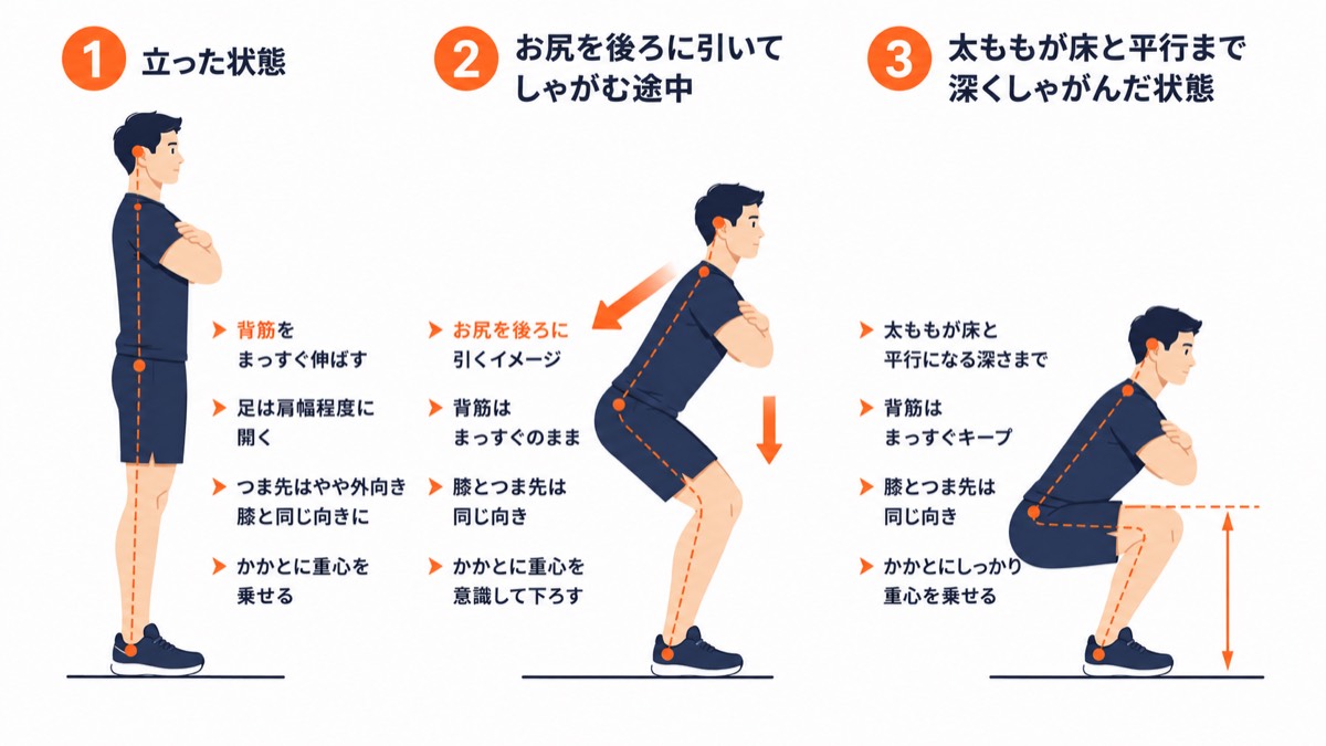 スクワットの正しいフォーム解説図