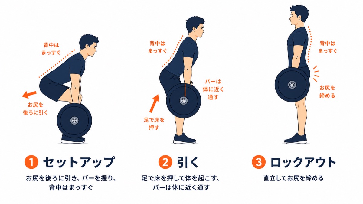 デッドリフトの正しいフォーム解説図